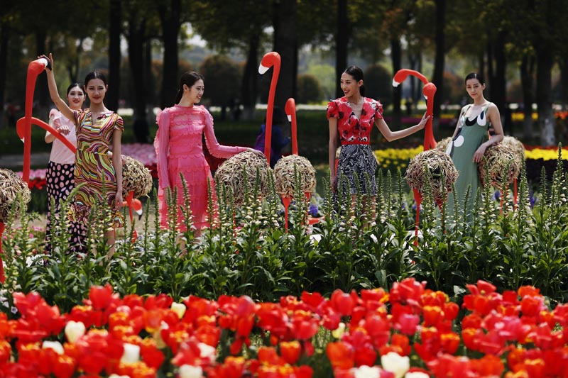 聚焦上海鲜花港_上海鲜花港_鲜花