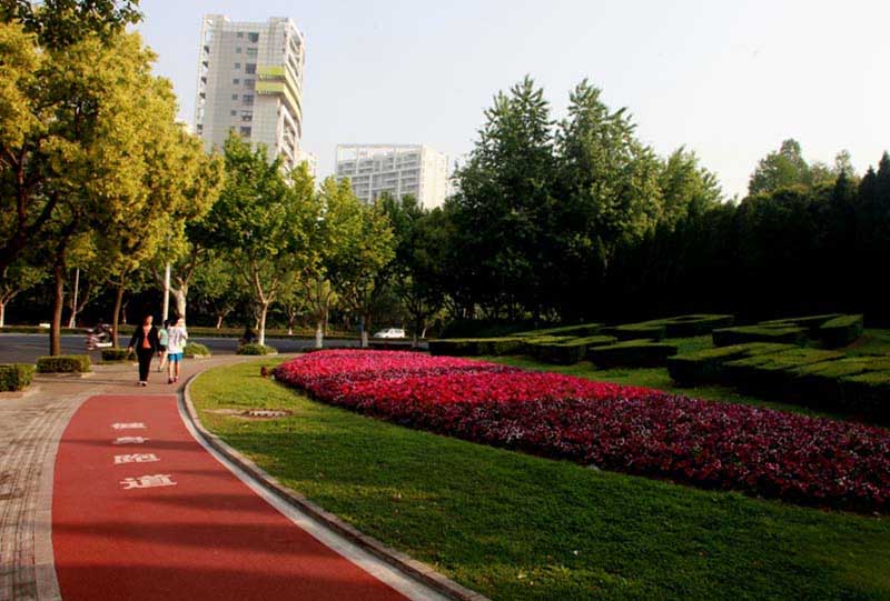 环世纪公园一圈 沪上首条人行道改建健身步道