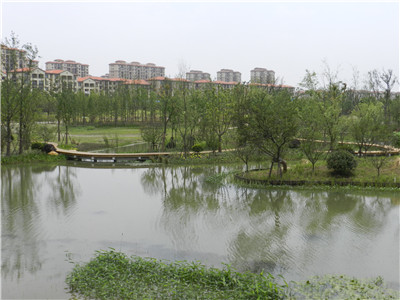 上海长兴岛首个湿地公园轮廓初现