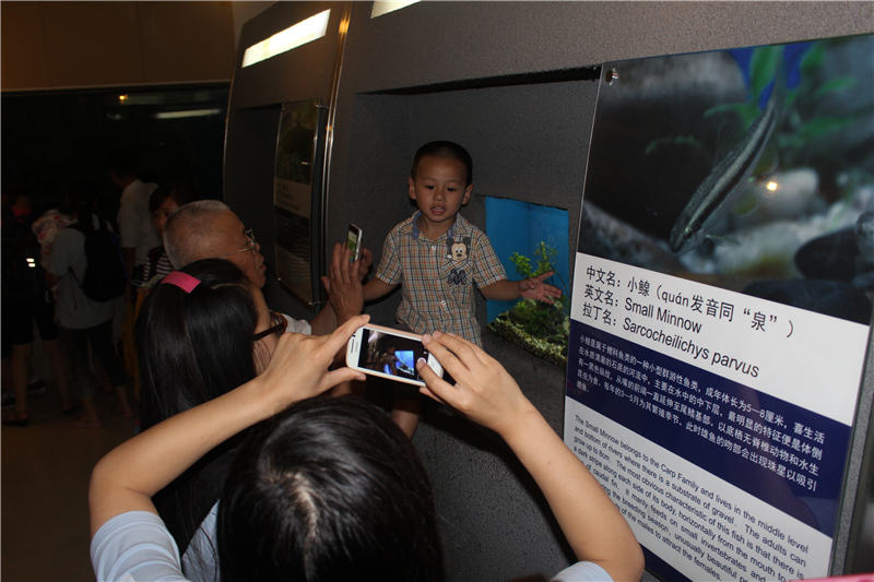 上海海洋水族馆十周年快闪活动
