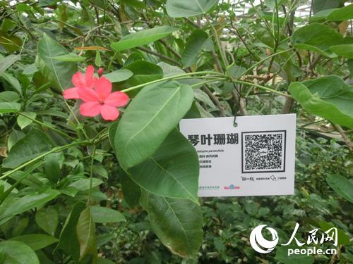 北京世界花卉大观园为园内植物制作二维码铭牌