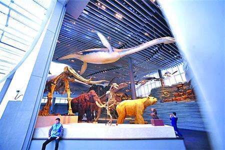上海自然博物馆明起售票开放 达4000人将限流