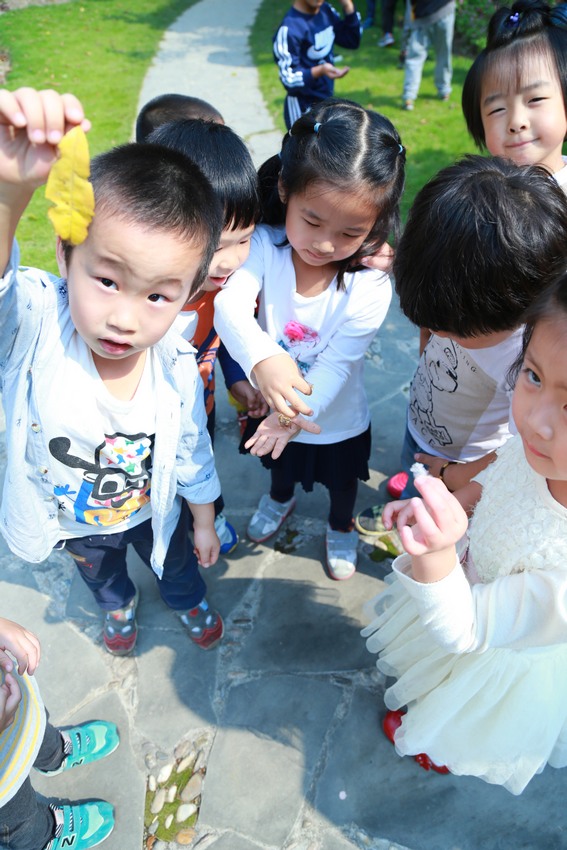 上海市明日之星幼儿园简介