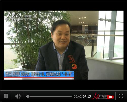 张斌代表：建设特色小镇，须因地制宜实施“一镇一策”