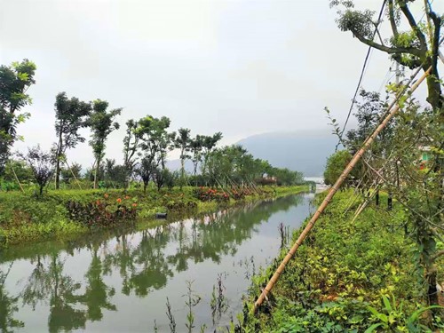 台州市黄岩区乡镇经济总量_台州市黄岩区地图