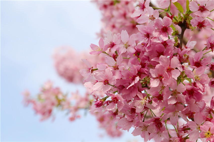 2021Ϻӣڹ˴幫԰Ļ˲ο͡