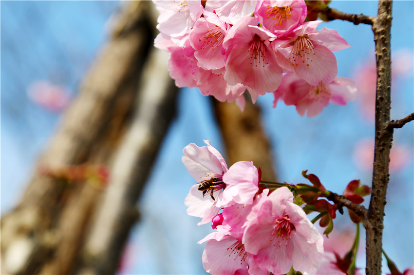 2021Ϻӣڹ˴幫԰Ļ˲ο͡