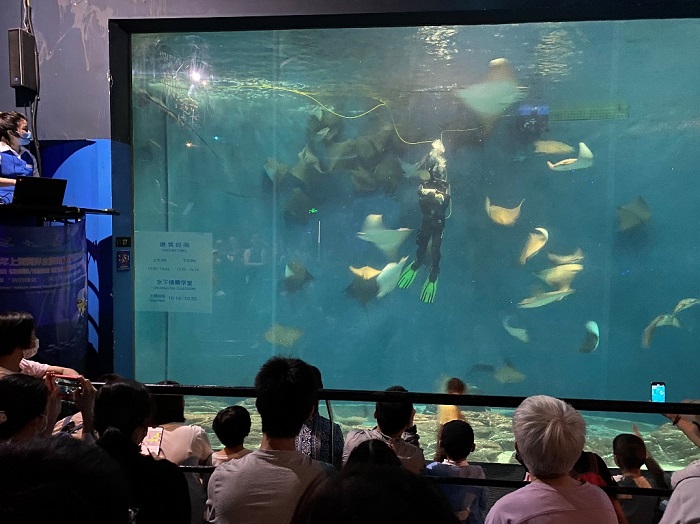 上海海洋水族馆将举行"行动起来 关爱水生野生动物"系列科普活动