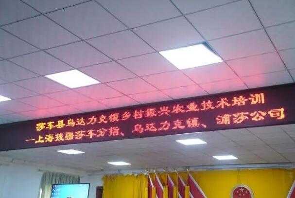上海援疆莎车分指积极开展乡村振兴农业技术培训