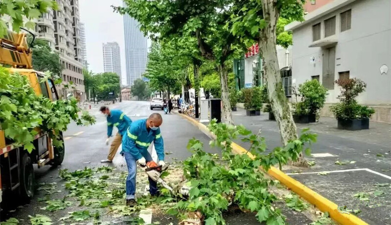 KK体育绿化养护行业加速复工上海“五一”花卉布置延迟一个月后重启(图1)