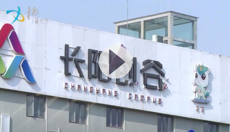 【视频聚焦】上海杨浦：“容缺办理”有温度