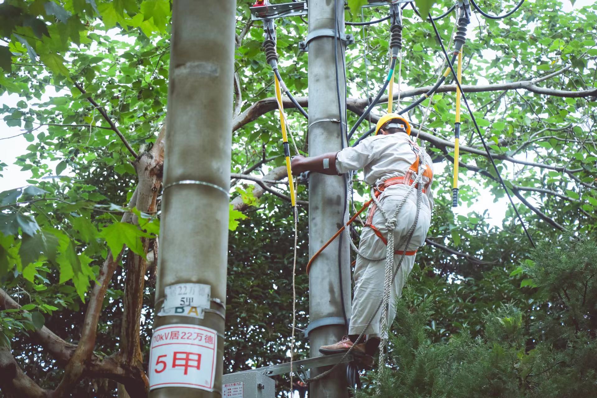 9月5日，国网上海浦东供电公司配电抢修一班操作人员在栖山路万德路口登杆配合电缆班遥测电缆。