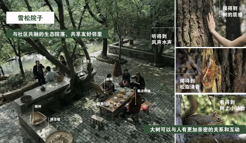 b体育app下载官网长宁这里将打造一座“雪松花园”效果图抢先看→(图4)