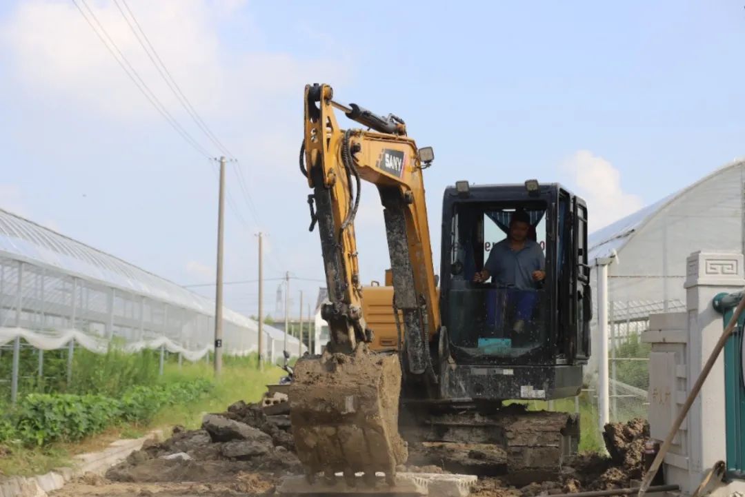 总投资1000多万元!金山这个“美味”基地预计竣工时间为……