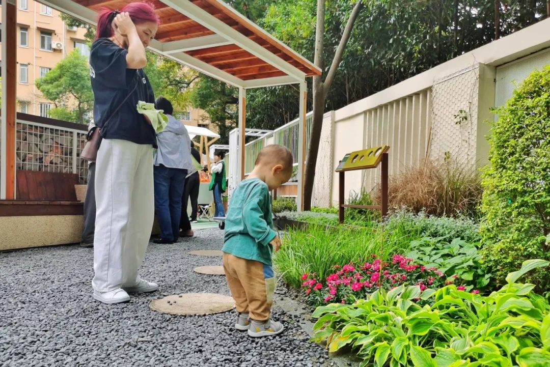 昆虫庇护所、小鸟来“做客”，天山路街道首个“生境花园”开园啦！