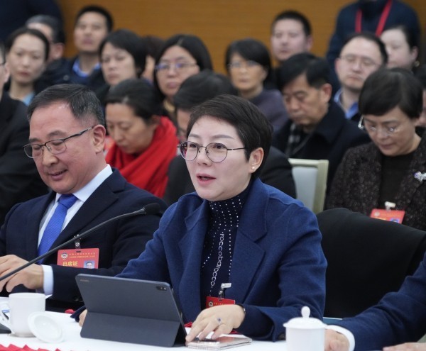 上海市妇联副主席李铭委员在专题会议上发言。新民网供图