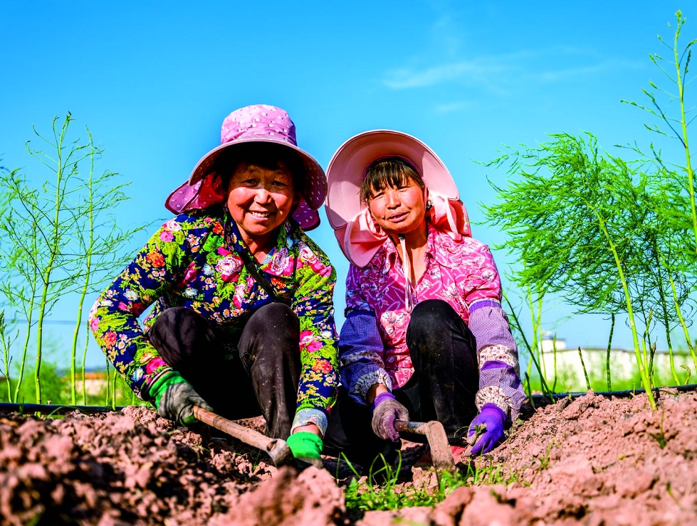 云南省楚雄彝族自治州牟定县共和镇新甸村等特色蔬菜种植项目