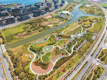 臨港春花秋色公園的花海。 記者 孟雨涵 攝