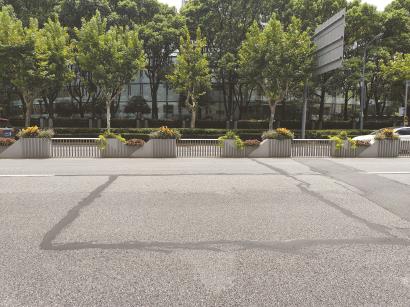 所谓“裂缝”实为道路灌缝胶反光所产生的视觉错觉。 记者 栗思 摄