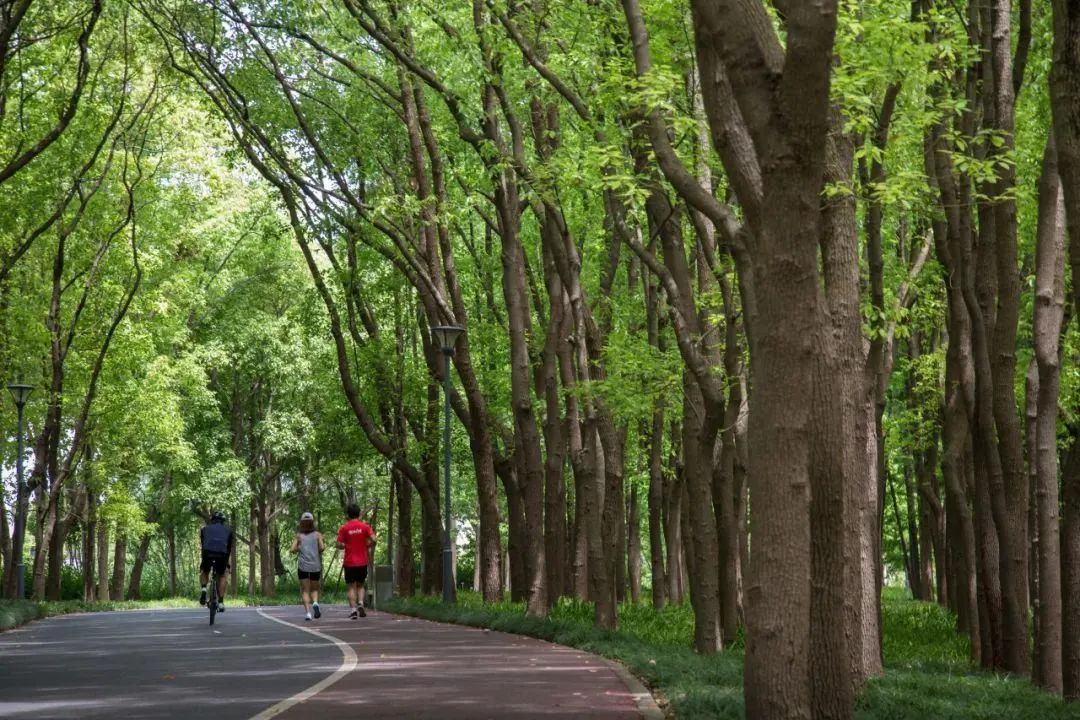 夏星空体育官网末秋初开启“公园生活”的惬意时光吧→(图4)