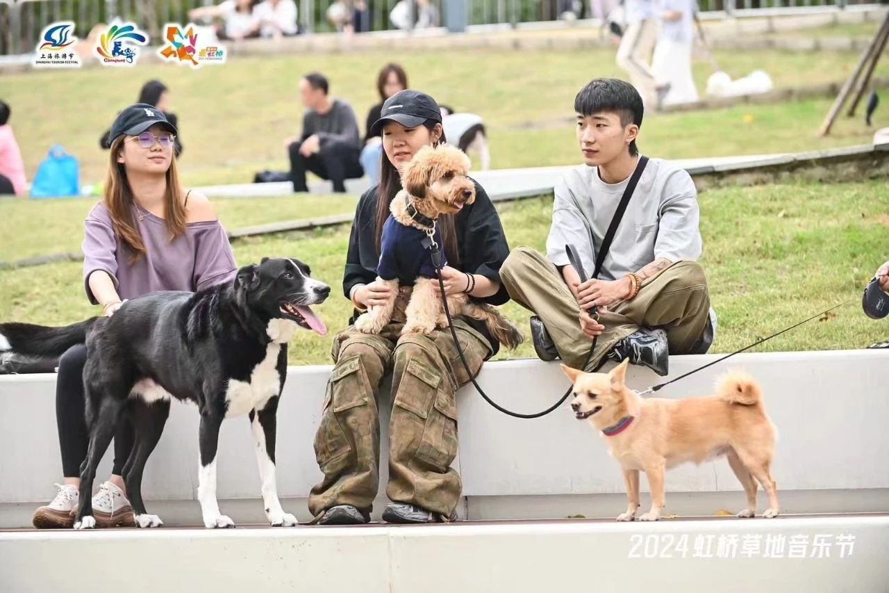 啥？这场bob半岛官网草坪音乐会近一半的“听众”是毛茸茸的TA们？(图4)