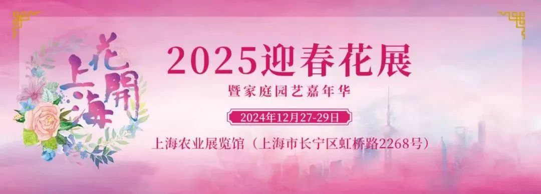 爱花人的盛会美嘉体育平台2025迎春花展将在长宁这里举行→(图1)