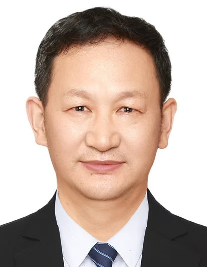 吳新葉政治學博士，同濟大學政治與國際關系學院長聘教授、博士生導師。先后在華東師范大學獲得政治學專業碩士學位（1999年）、復旦大學獲得政治學博士學位（2004年）。美國加州州立大學弗雷斯諾分校（2010-2011年）和英國利茲大學（2015-2016年）訪問學者。主要從事政黨政治、基層治理等教學與研究工作。