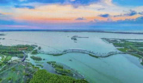 生态宝藏，上海将推出首批约20个湿地空间试点