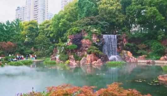 上海這些“雨中綠洲”，幫你心情“去個梅”
