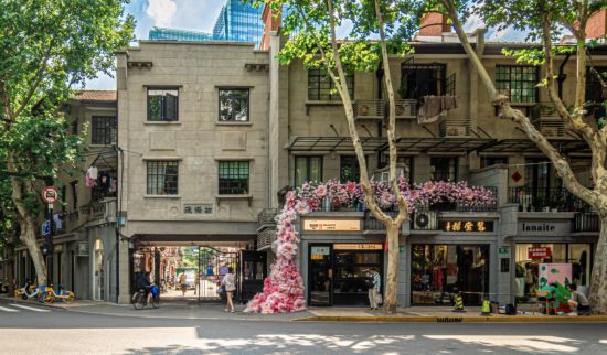 方寸之地成就生活精彩 市民窗阳台绿化大赛启动