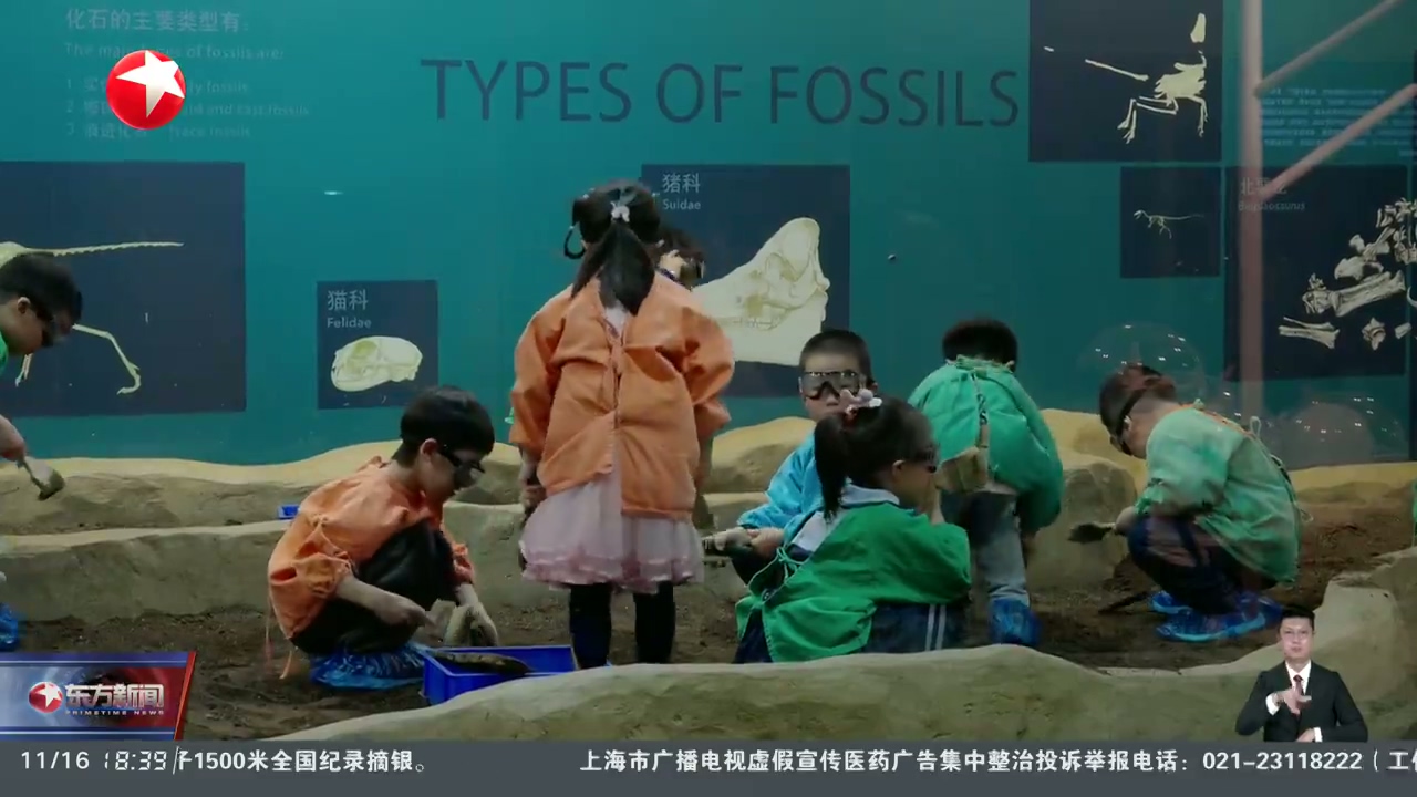 上海多个亲子游景点客流暴涨