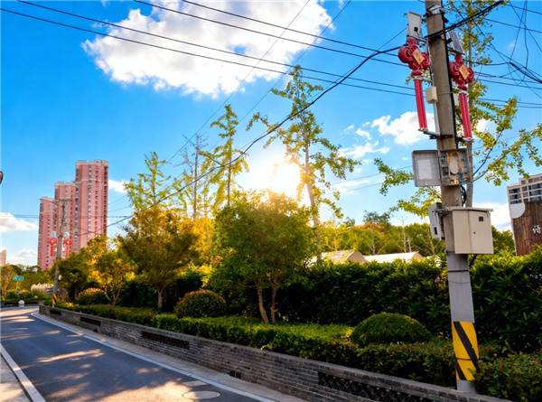 城乡杆路整治前后
