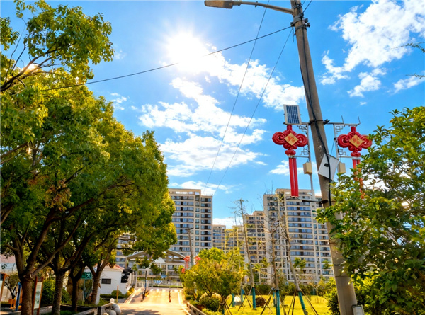 主干道杆路整治前后