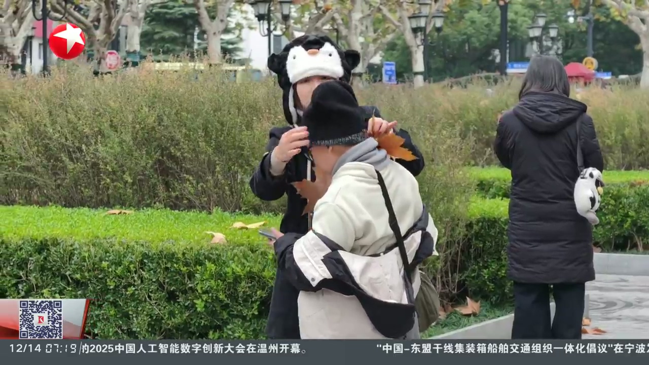 今冬第三波寒潮來襲 