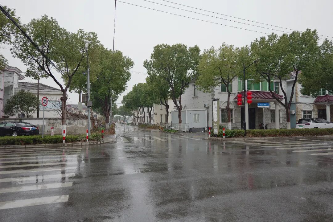 金山這裡的民生實事項目出爐