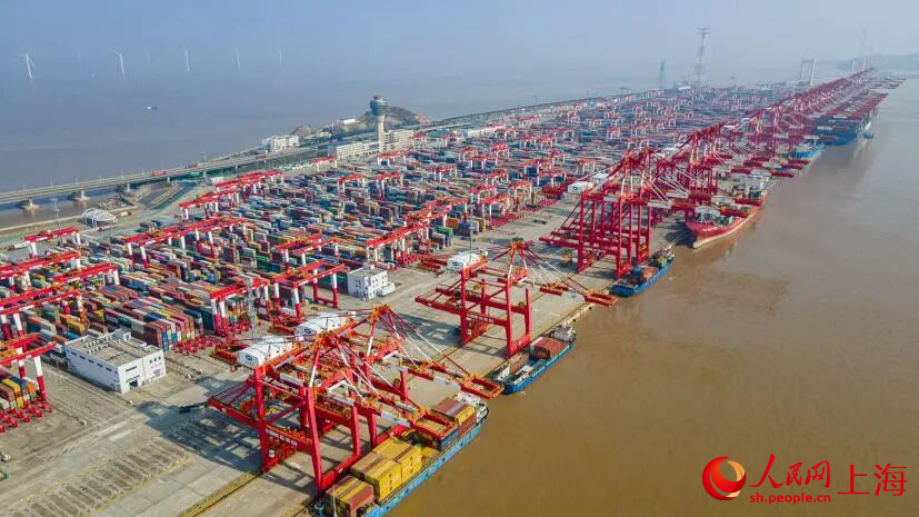 繁忙的洋山港碼頭。人民網記者 王初攝