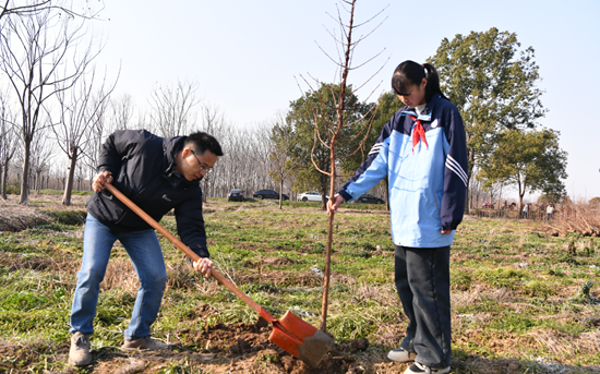 长江畔共植新绿生态岛薪火相传！崇明用行动定义“传承”(图1)