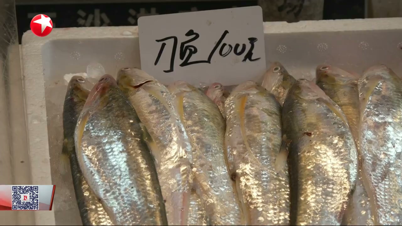 上海崇明海刀鱼新鲜上市