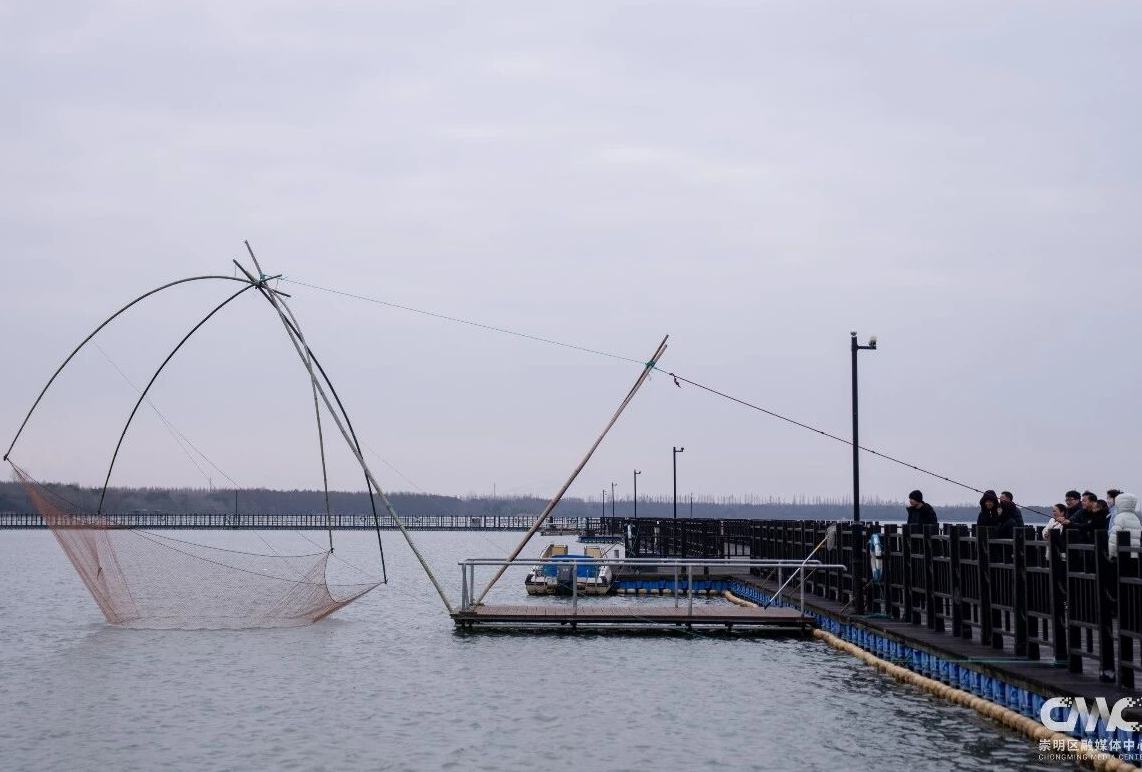 來崇明，玩轉明珠湖冬捕節