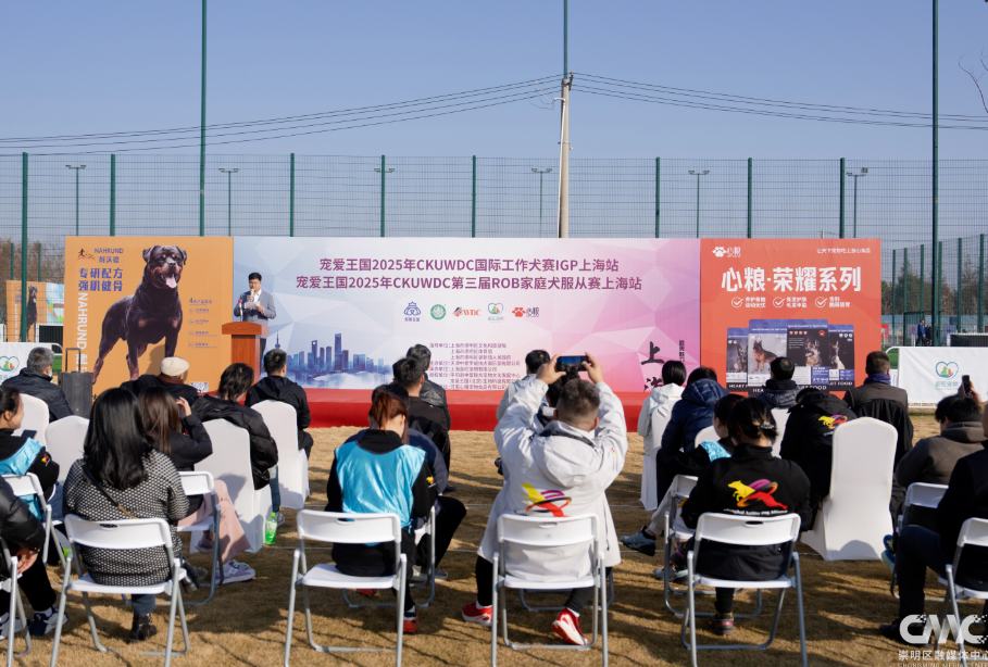 寵物“運動會”在崇明熱鬧上演！