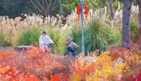 3條絕美騎行線，收藏春日上海