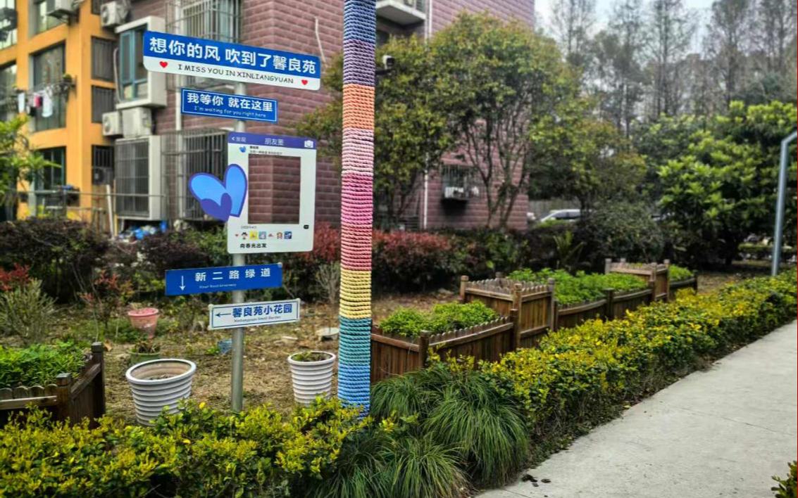 在高境，“鄰聲有理”解鎖基層治理新密碼
