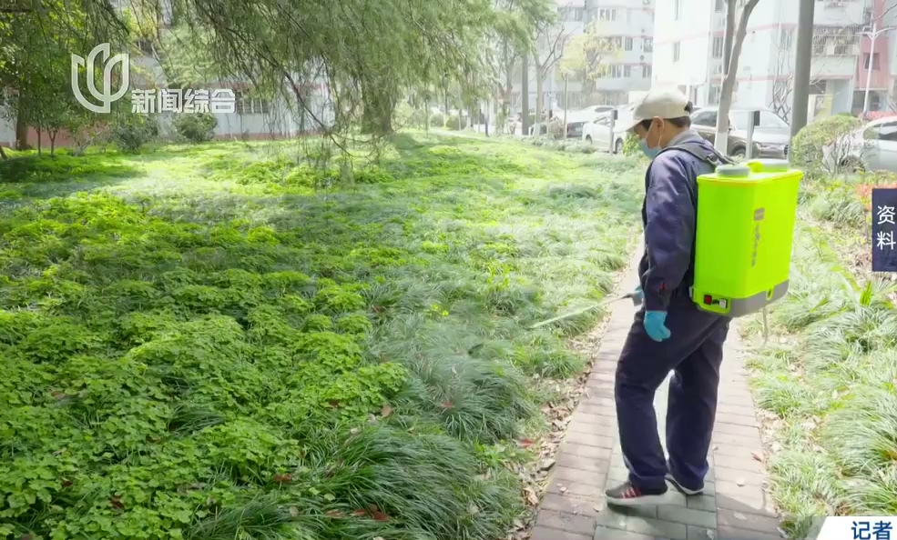 上海今春蚊虫较往年略有下降