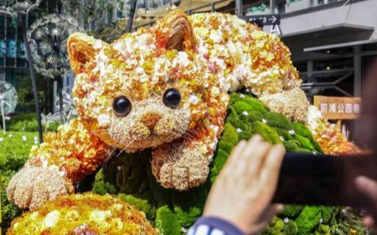 “花卉+文商旅體展”深度融合 上海國際花卉節4月18日啟幕