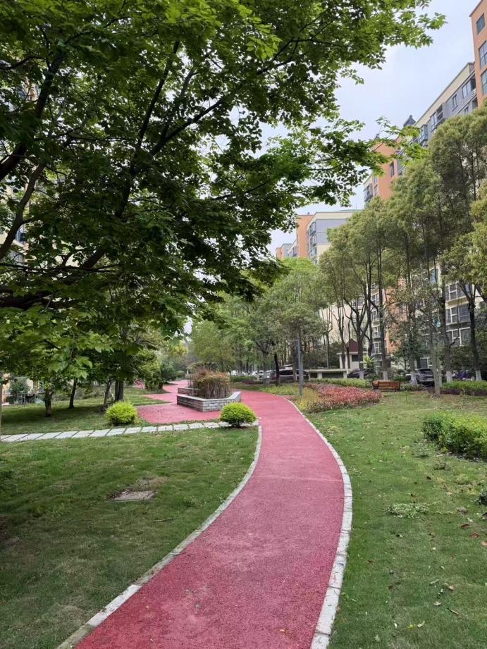 改造后一楼居民门口绿化。人民网记者 王文娟摄