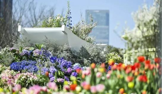 5天接待429万人次 在上海见证“繁花似锦”的能量
