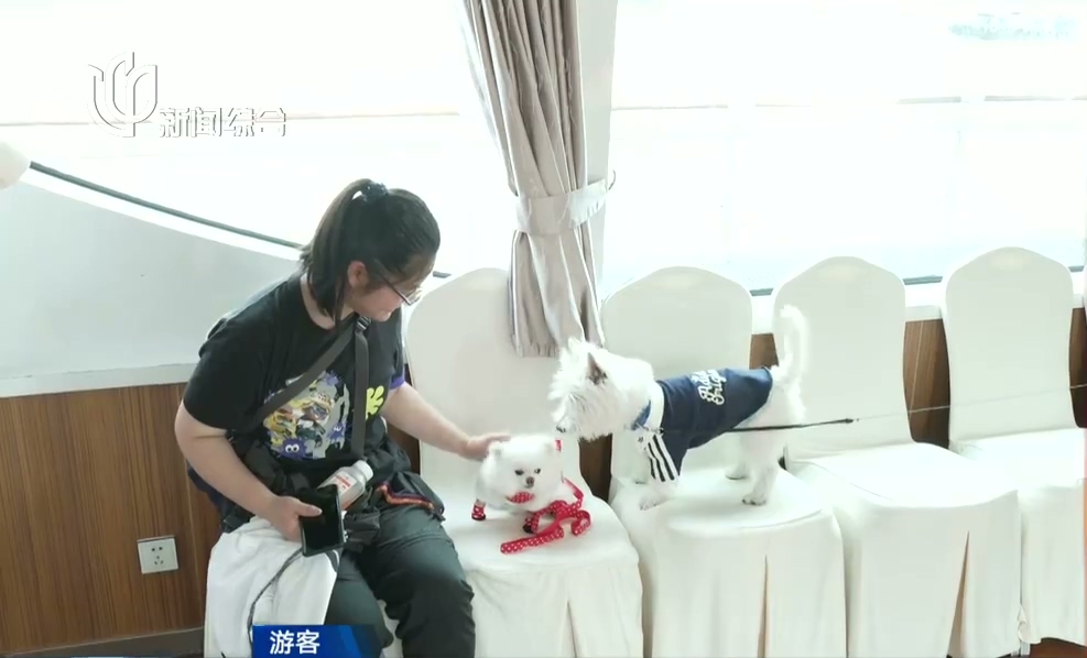徐匯濱江：寵物游船常態化