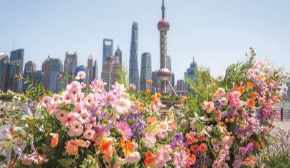 以花為媒，不止於花 上海國際花卉節三大轉型啟示