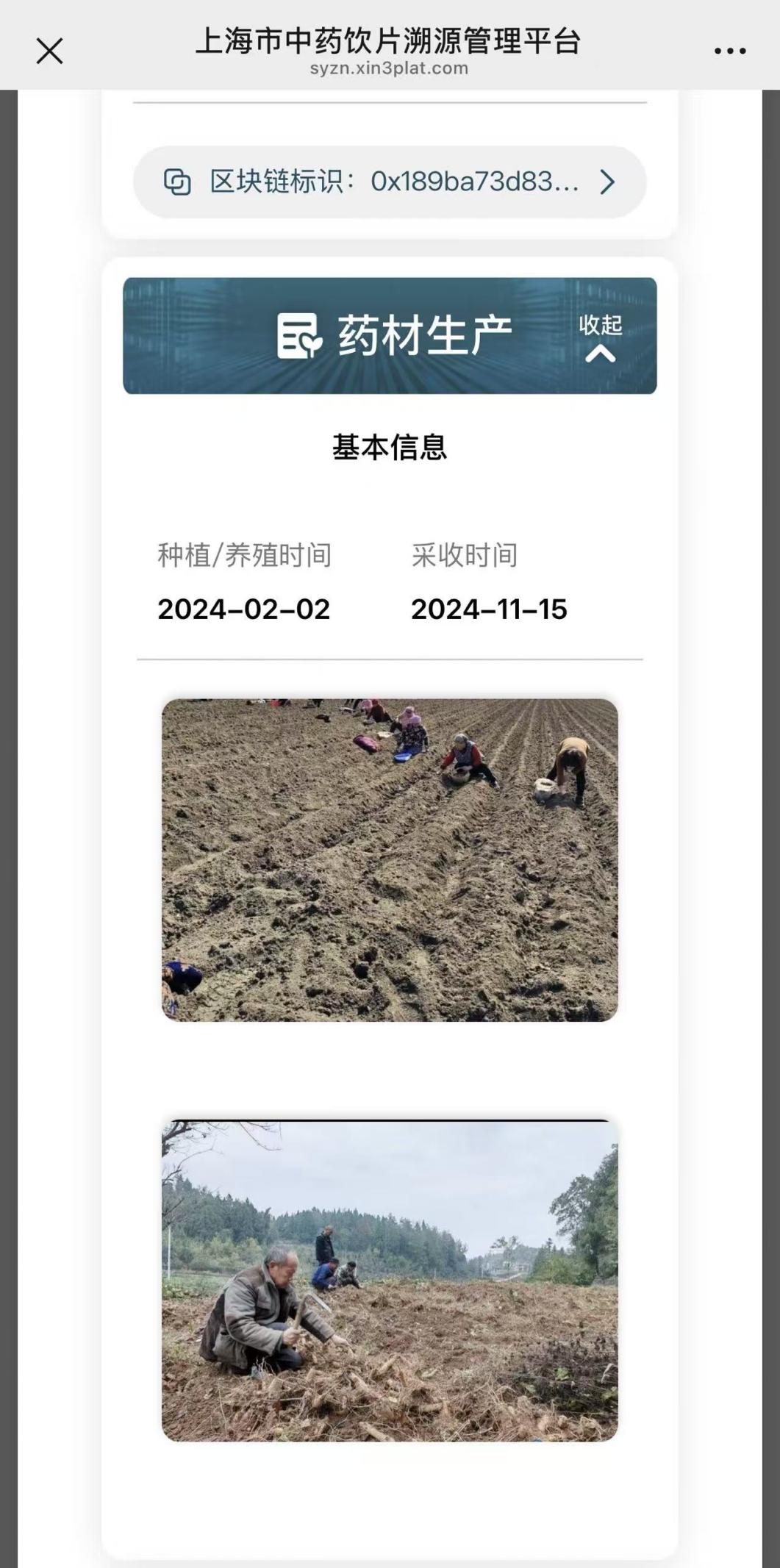 系统显示玄参的种植和采收照片。溯源平台截图