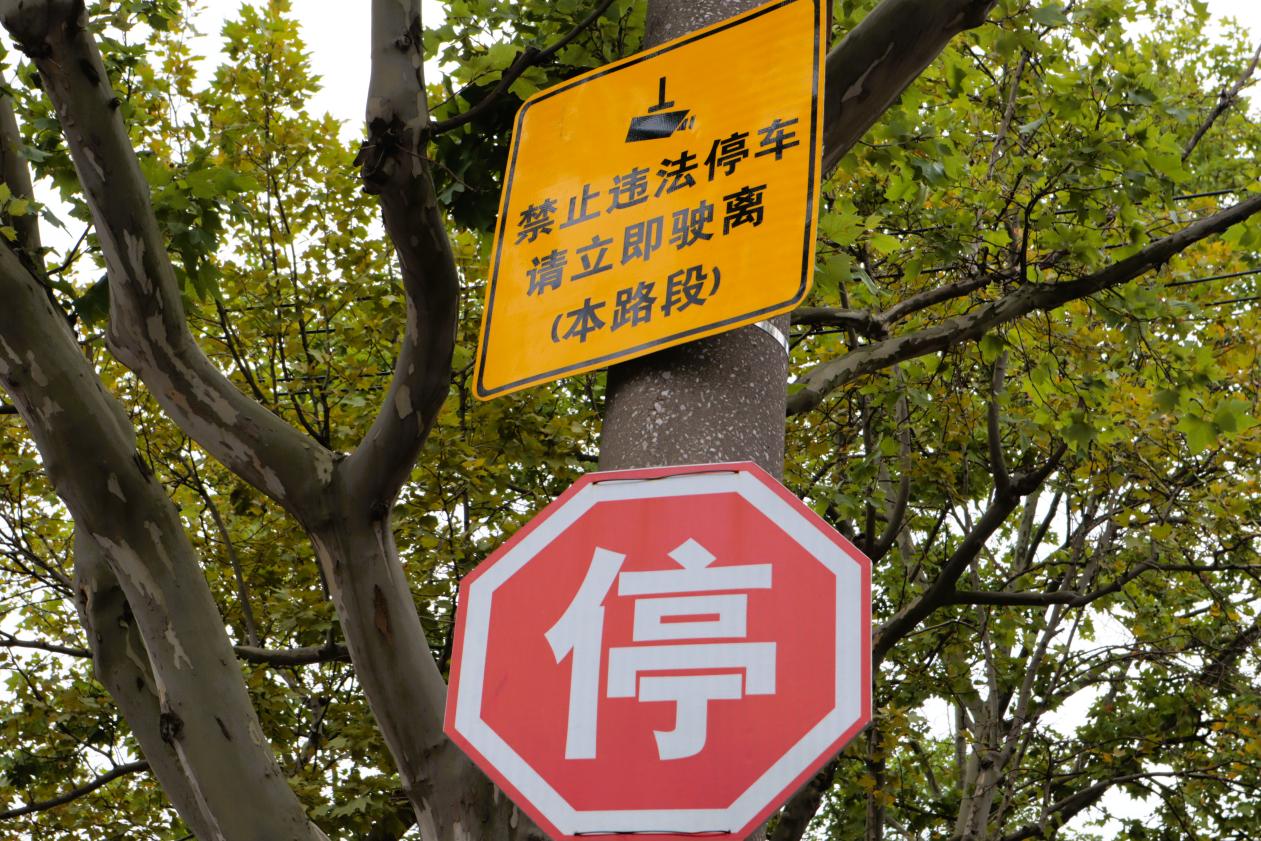盘古路（樟岭路至克山路）公交站路段禁停指示牌。实习生 杨雯摄